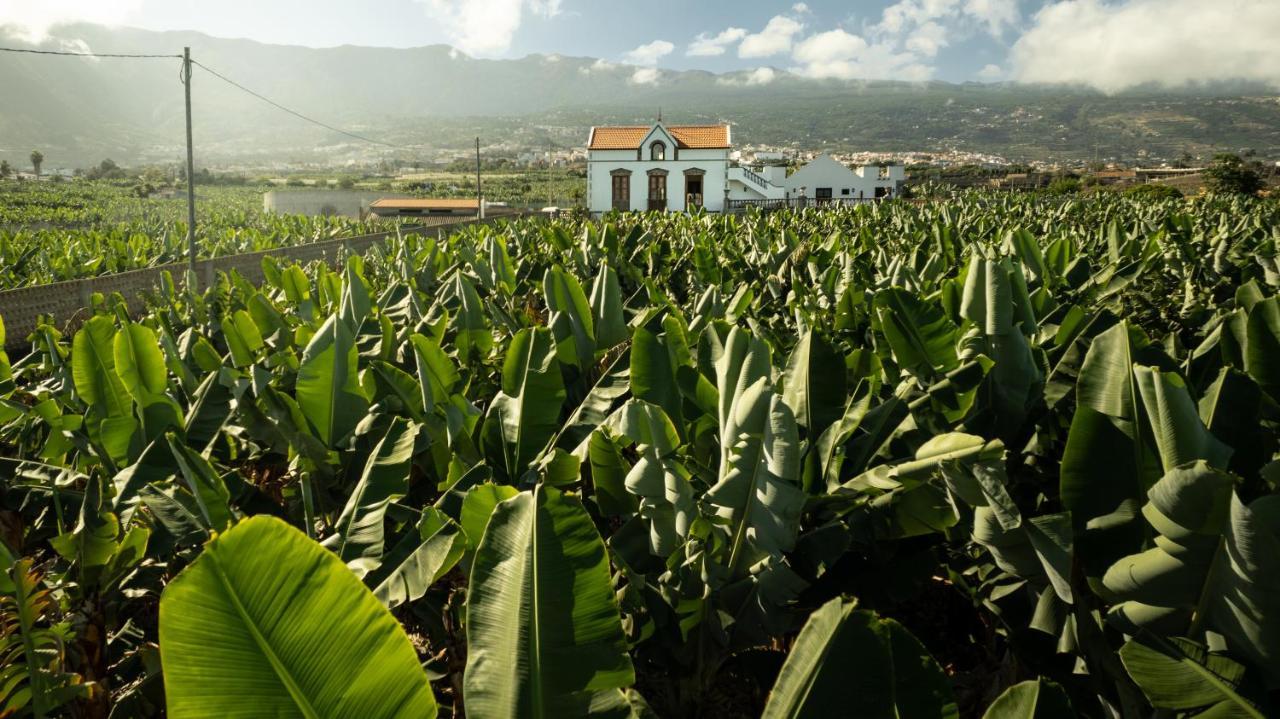 Hacienda Los Orovales Puerto de la Cruz  Exterior photo